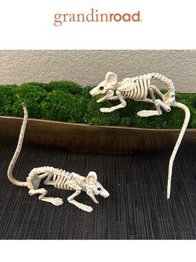 Grandin Road Skeleton Mice, Set of Two, EUC Like New, Halloween